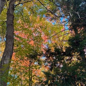 Meet your Posher, Teresa